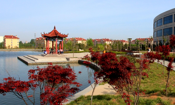山東商務職業(yè)學院評價怎么樣,學校好不好