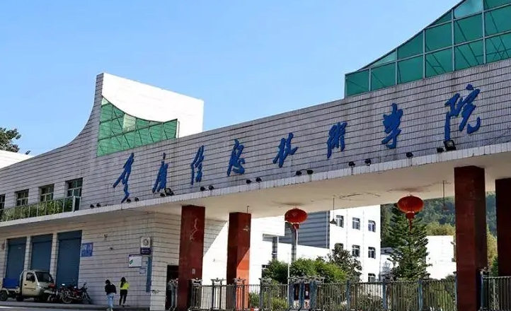 重慶信息技術(shù)職業(yè)學(xué)院評價怎么樣,學(xué)校好不好