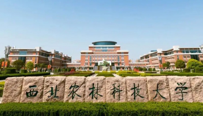在陜西高考555分算什么水平（近三年）陜西高考555分能上的大學