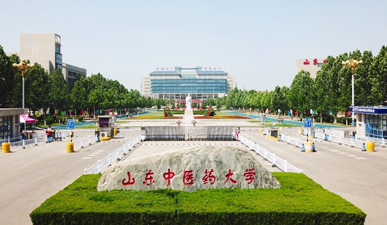 在山東高考555分算什么水平（近三年）山東高考555分能上的大學