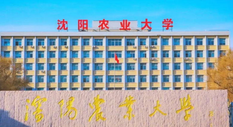在遼寧高考490分算什么水平（近三年）遼寧高考490分能上的大學