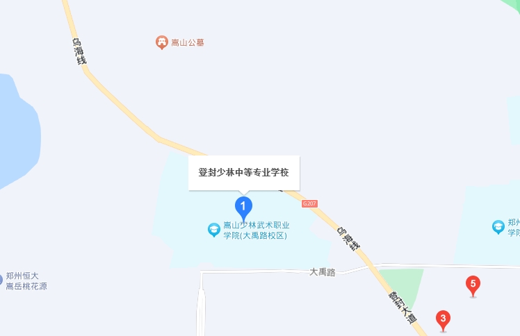 登封林峰少林武術(shù)中等專業(yè)學校地址，乘車路線