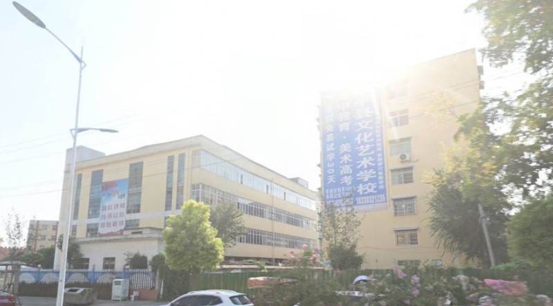 2024鎮(zhèn)平縣文化藝術(shù)學(xué)校招生計劃 招生人數(shù)是多少(附要求、條件、對象)