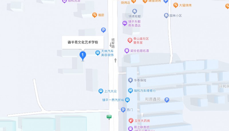 鎮(zhèn)平縣文化藝術(shù)學(xué)校地址，乘車路線