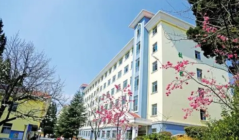 云南2024年有鐵路學校的大專