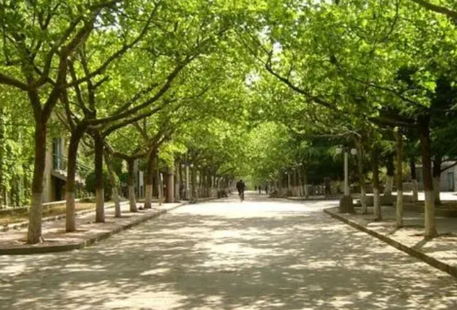 2024年云南高考用什么卷？云南高考科目及各科分數(shù)