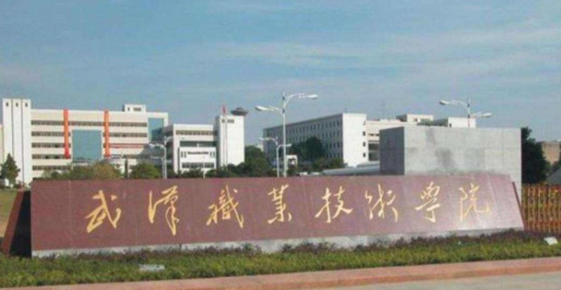 2024武漢專科大學(xué)有哪些？附武漢專科學(xué)校排名前十名單