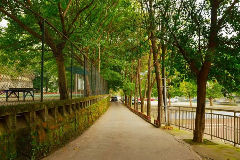 重慶市二十八中地址，乘車路線