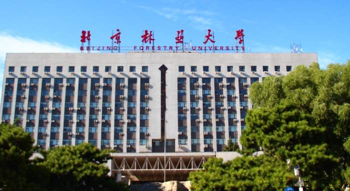 上海高考529分能上什么大學（2024年參考）