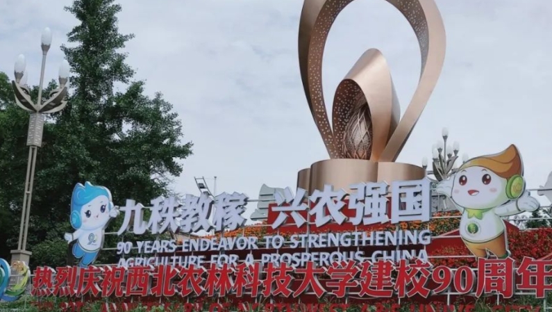 內蒙古高考515分能上什么大學（2024年參考）