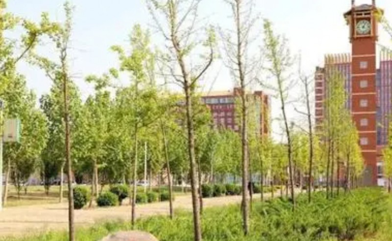 晉州市第一中學(xué)怎么樣、好不好