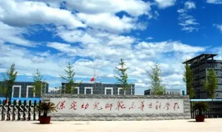 保定幼兒師范高等?？茖W(xué)校中外合作辦學(xué)專業(yè)一覽 （2024）