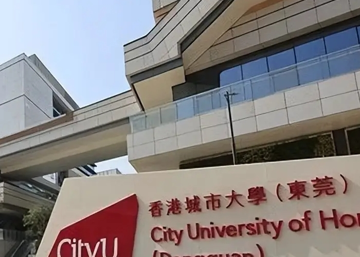 香港城市大學（東莞）2024年招生章程