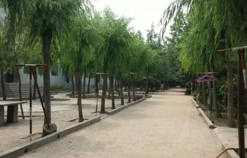 行唐曙光中學怎么樣、好不好