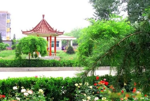 靈壽護(hù)駕疃高級中學(xué)怎么樣、好不好