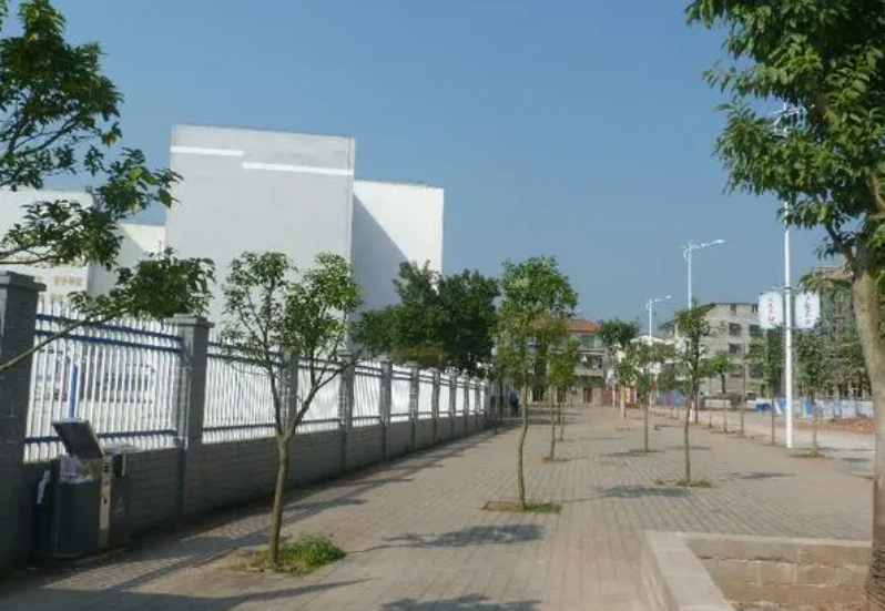 石家莊龍鳳中學(xué)怎么樣、好不好