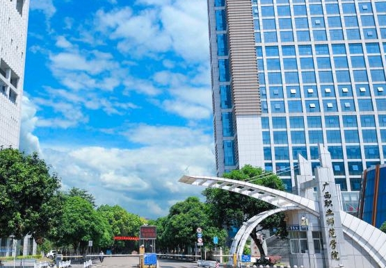 廣西職業(yè)師范學院藝術類學費（2024）