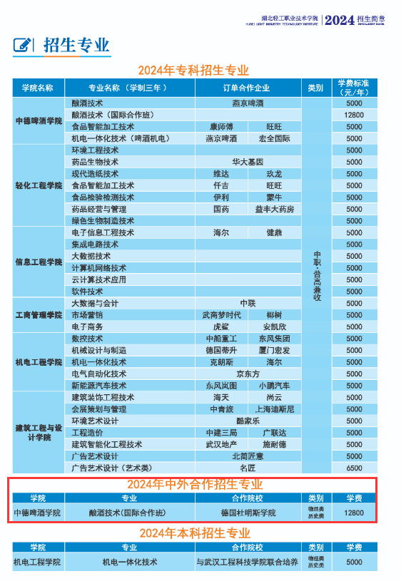 湖北輕工職業(yè)技術(shù)學(xué)院中外合作辦學(xué)專業(yè)有哪些？