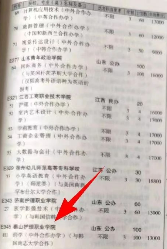 泰山護理職業(yè)學(xué)院中外合作辦學(xué)專業(yè)有哪些？