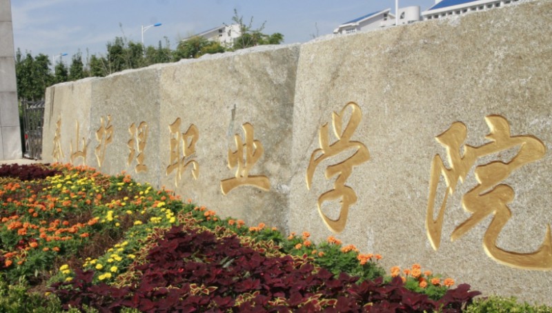 泰山護理職業(yè)學(xué)院中外合作辦學(xué)專業(yè)一覽 （2024）
