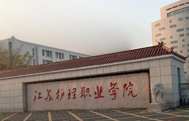 江蘇護(hù)理職業(yè)學(xué)院中外合作辦學(xué)專業(yè)一覽 （2024）
