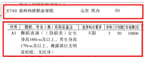 2024濱州科技職業(yè)學院藝術類學費多少錢一年-各專業(yè)收費標準