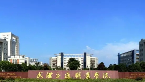 武漢交通職業(yè)學(xué)院中外合作辦學(xué)學(xué)費(fèi)（2024）