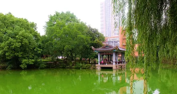 以紀(jì)為鑒銘初心 篤行致遠(yuǎn)譜新篇│河源衛(wèi)生學(xué)校開展慶祝中國共產(chǎn)黨成立103周年系列活動