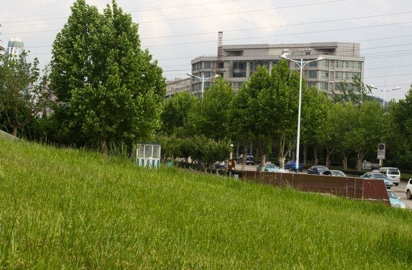 蕪湖機械工程學(xué)校召開2023-2024學(xué)年度第二學(xué)期工作總結(jié)大會