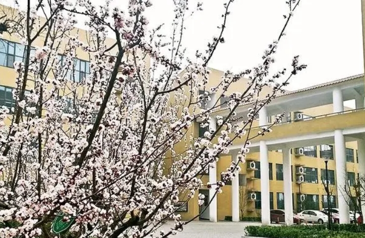 2024邯鄲市第二中學(xué)招生計(jì)劃 招生人數(shù)是多少(附要求、條件、對(duì)象)