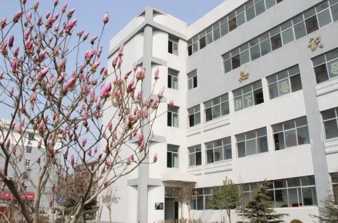 2024邢臺市第三中學(xué)招生計(jì)劃 招生人數(shù)是多少(附要求、條件、對象)