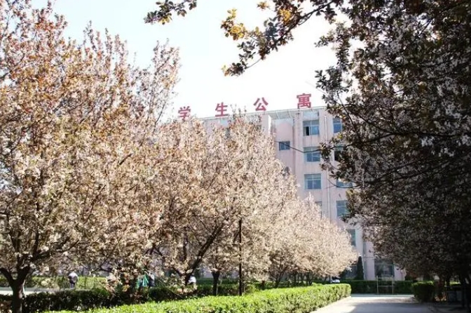 邢臺市第三中學(xué)地址，乘車路線
