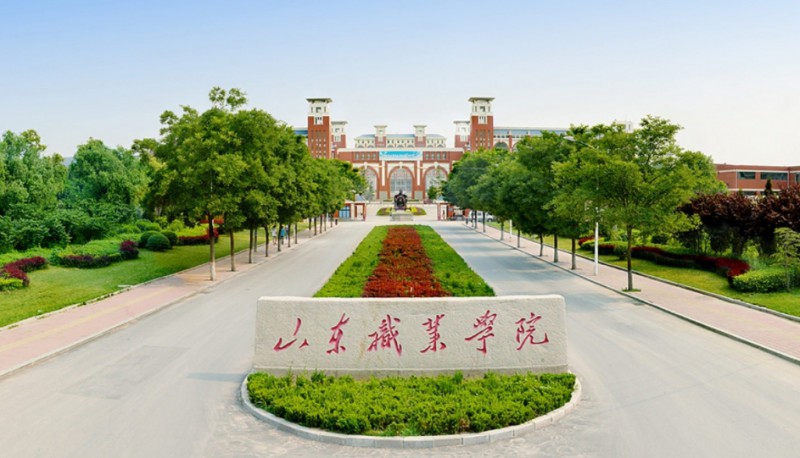 山東2025年有成人鐵路學校嗎