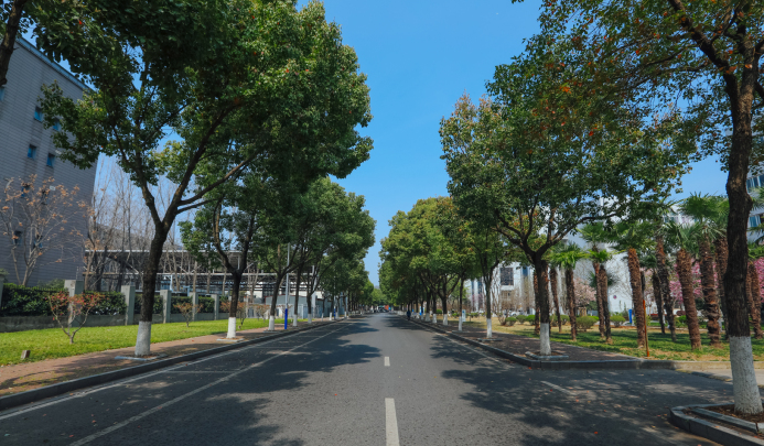 江蘇2025年鐵路學(xué)校畢業(yè)是什么文憑