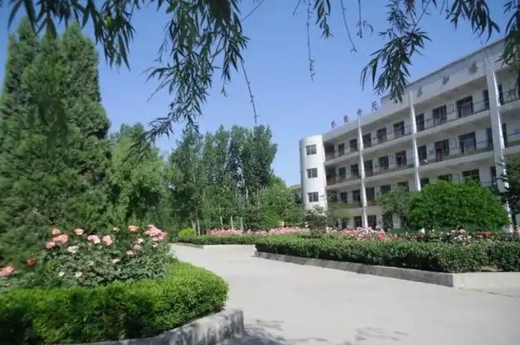 曲陽(yáng)縣恒陽(yáng)中學(xué)怎么樣、好不好
