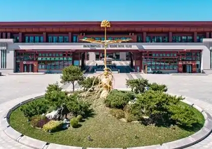 安國(guó)藥城學(xué)校怎么樣、好不好