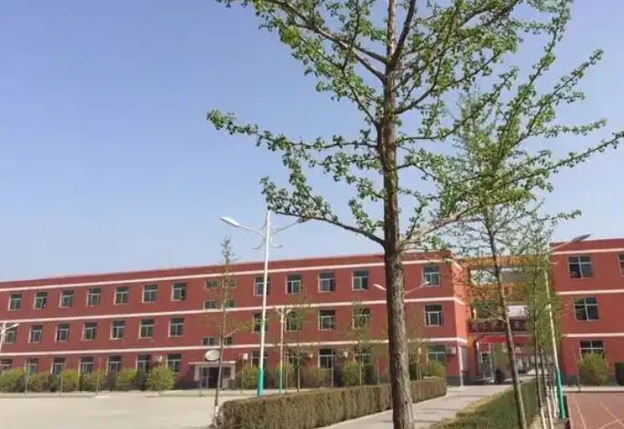 2025保定市徐水天源學(xué)校招生計(jì)劃 招生人數(shù)是多少(附要求、條件、對象)