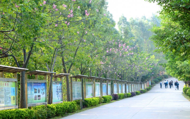 廣東2025年高中畢業(yè)能讀什么中專學校