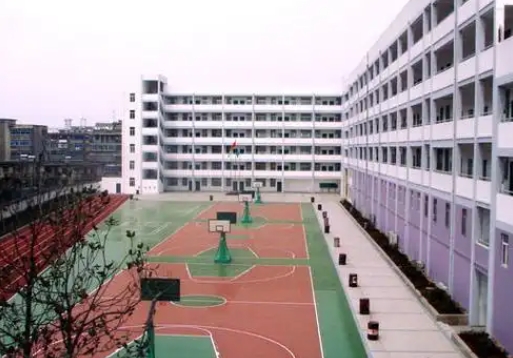 龍泉中學(xué)招生簡(jiǎn)章2025年