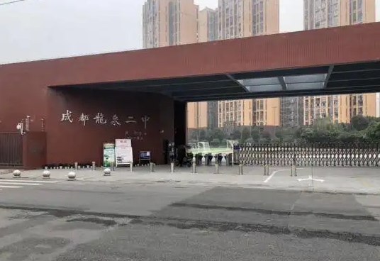 2025龍泉二中招生計劃 招生人數(shù)是多少(附要求、條件、對象)
