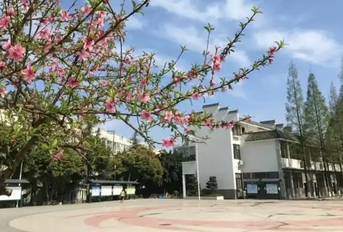 2025龍泉師一招生計(jì)劃 招生人數(shù)是多少(附要求、條件、對(duì)象)