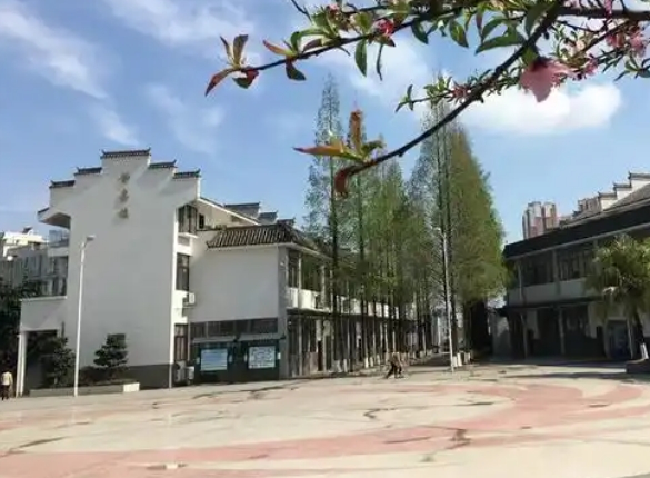 龍泉師一怎么樣、好不好