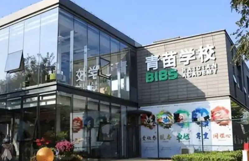 2025青苗學(xué)校招生計劃 招生人數(shù)是多少(附要求、條件、對象)