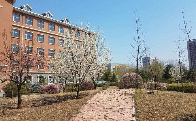 沈陽音樂藝術(shù)學(xué)校招生簡章2025年