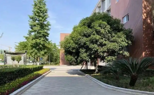 新津?qū)嶒灨咧械刂?，乘車路線