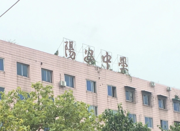 2025陽安中學(xué)多少錢(學(xué)費明細(xì))