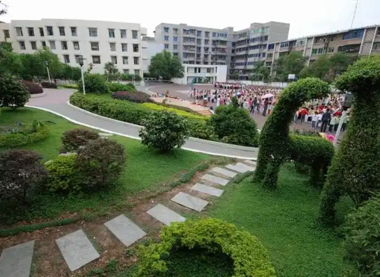成都市龍泉外國語實(shí)驗(yàn)學(xué)校招生簡章2025年