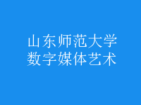數(shù)字媒體藝術