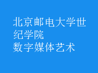 數(shù)字媒體藝術