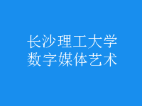 數(shù)字媒體藝術